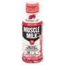 MILK STRW N CRM 14OZ SNGL