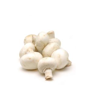 Fresh Produce - Mushroom Regular Button