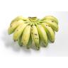 BANANAS NINO