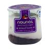 BERRIES GREEK YOGURT