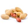 NUTS PEANUTS
