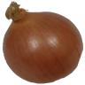 ONION YELLOW LG