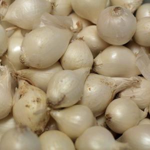 Produce - Onions Pearl