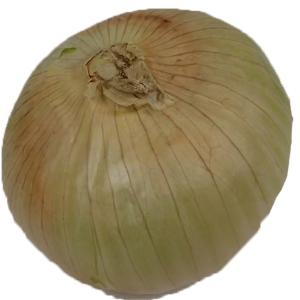 Fresh Produce - Onions Sweet