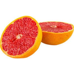 Premium - Orange Midknight Large