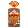 ORGANIC 100 WHOLE GRAIN BRD