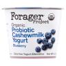 ORGANIC DAIRY FREE BLUBRY CASHEW YOGURT