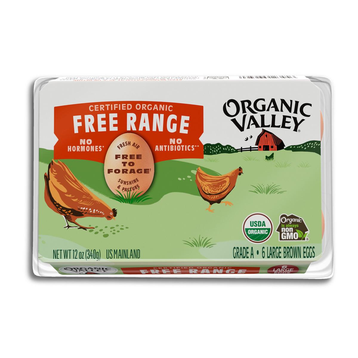 ORGANIC LARGE EGGS