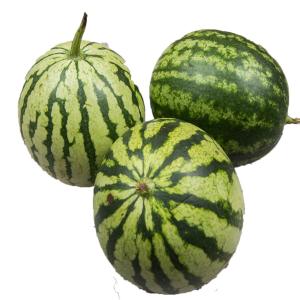 Fresh Produce - Organic Mini Watermelon