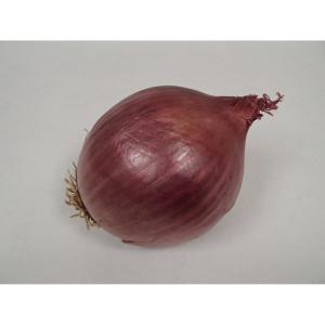 Organic Produce - Organic Onion Red