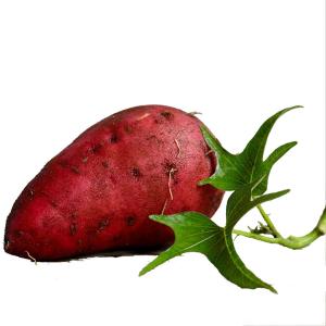 Produce - Organic Sweet Potato