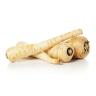 PARSNIPS