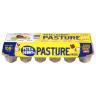 PASTURE RAISED LARGE EGGS