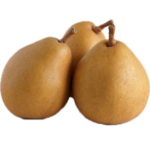 Fresh Produce - Pear Taylors Gold