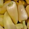 PEPPER WHITE