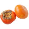 PERSIMMON FUYU