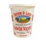 PLAIN LOW FAT YOGURT