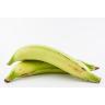 PLANTAIN GREEN