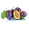 PLUM ITALIAN PRUNE
