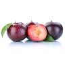 PLUMS