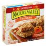 PMPKN SPC CRNCHY GRAN BAR 6CT