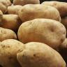Fresh Produce - Potatoes Russet