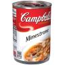 MINESTRONE SOUP