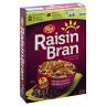 RAISIN BRAN CEREAL