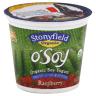 RASPBERRY O SOY YOGURT