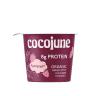 RASPBERRY PROTEIN YOGURT