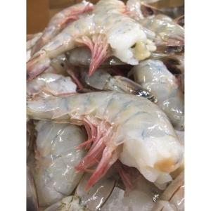 Shrimp - Raw Shrimp 31 40 ct lb