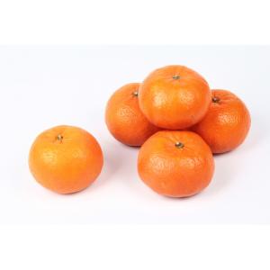 Florida - Orri Mandarine