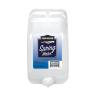 SPRING WATER 2 5 GAL