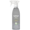STAINLESS STEEL CLEANER