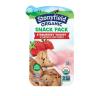 STRAWBERRY CHOC CHP COOKIE YOGURT