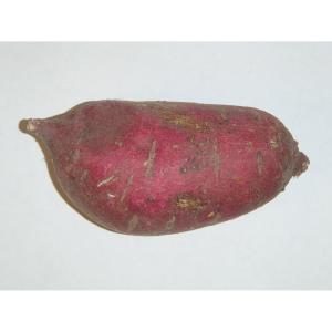 Fresh Produce - Sweet Potato Oriental