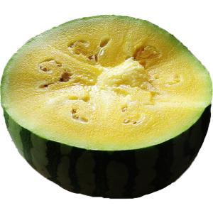 Fresh Produce - Watermelon Yellow Mini