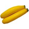 YELLOW SQUASH