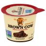 CHOCOLATE WHOLE MILK YOGURT