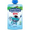 YOKIDS ORGANIC BLUEBERRY YOGURT POUCH